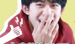 崽崽娱乐圈吃瓜,揭秘明星幕后故事，吃瓜群众狂欢盛宴